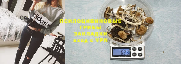 не бодяженный Арсеньев