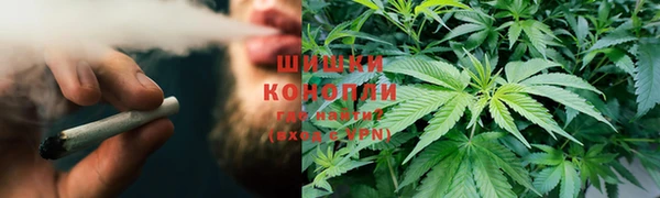 крисы Аркадак