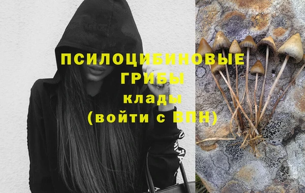 крисы Аркадак