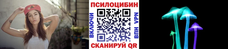 площадка официальный сайт  Долгопрудный  Галлюциногенные грибы MAGIC MUSHROOMS 